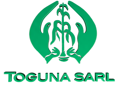 Toguna Sarl